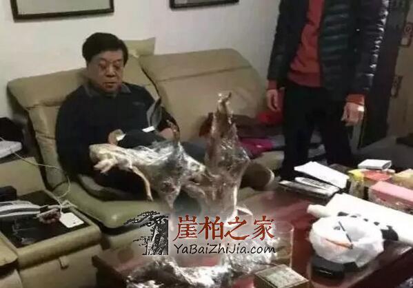 崖柏的魅力,赵忠祥都无法自拔!-2