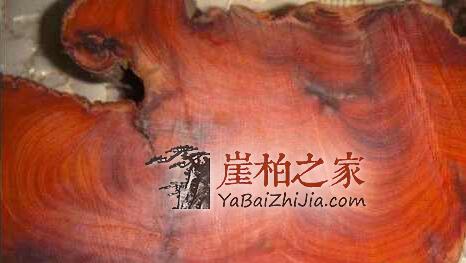 崖柏开裂的另类处理方法,让你美出新高度-7