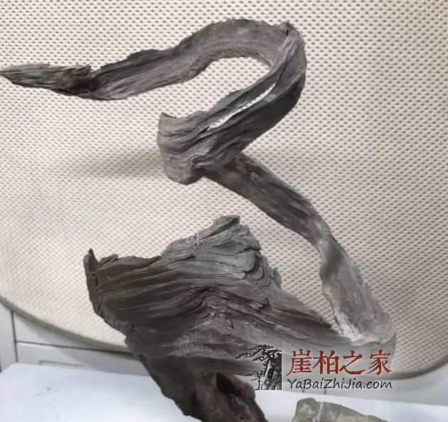 未来崖柏还会一路高涨吗?-3