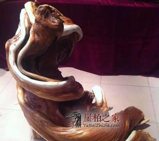 未来崖柏还会一路高涨吗?-6