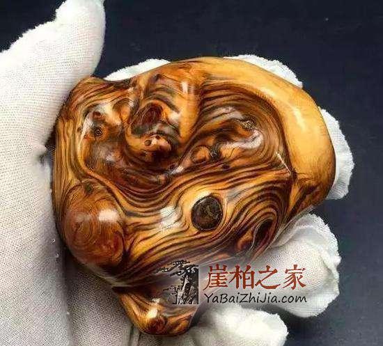 没有标题党,咱们今天诚心聊聊崖柏-9