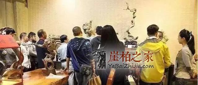 5年前的崖柏、5年后的崖柏,差之千里!-1