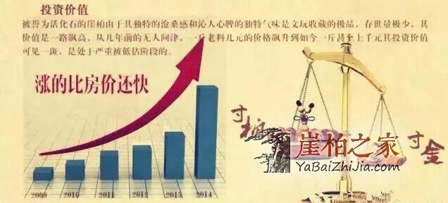 5年前的崖柏、5年后的崖柏,差之千里!-2