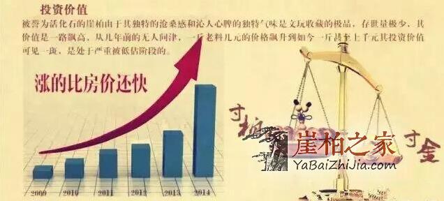 5年前的崖柏、5年后的崖柏，差之千里！-2