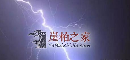 崖柏成长过程中到底要经历些什么灾难?-3