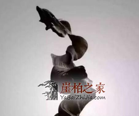 如果您手中有这几种崖柏料子,请您坐等发财吧!-1