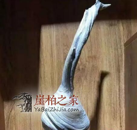 如果您手中有这几种崖柏料子,请您坐等发财吧!-4