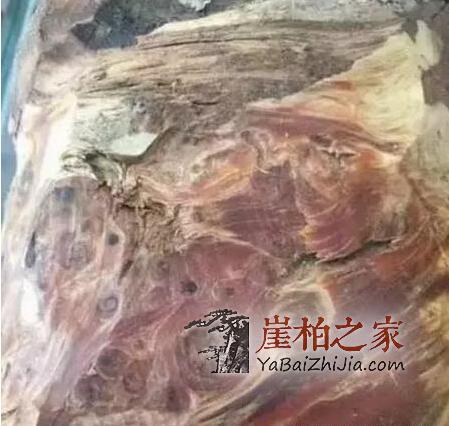 如果您手中有这几种崖柏料子,请您坐等发财吧!-6