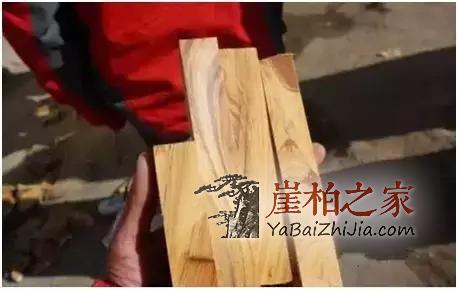 满瘤疤的崖柏“造假术”我教教你吧?-13