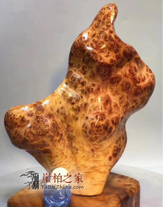 崖柏陈化瘤究竟贵在哪里,你知道吗?-1