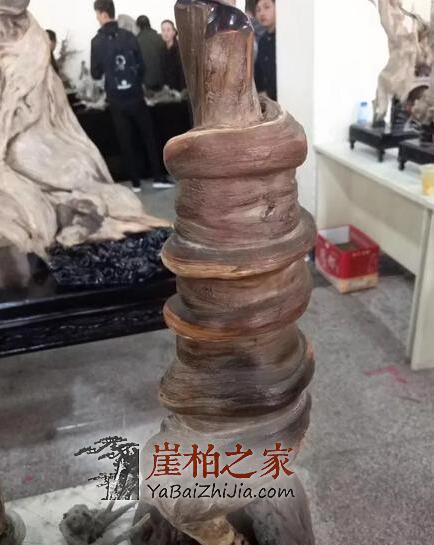 崖柏如何在木质品文玩市场中确立其霸主地位的?-3
