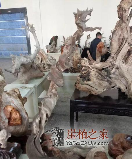 崖柏如何在木质品文玩市场中确立其霸主地位的?-4