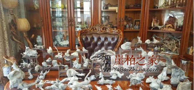 什么类型的崖柏最具潜力?不看是您的损失!-1