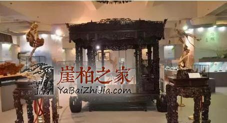 太行陡壁生侧柏,一朝识得痴余生-3