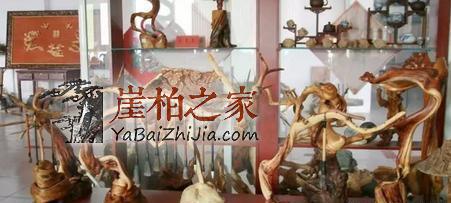 太行陡壁生侧柏,一朝识得痴余生-4
