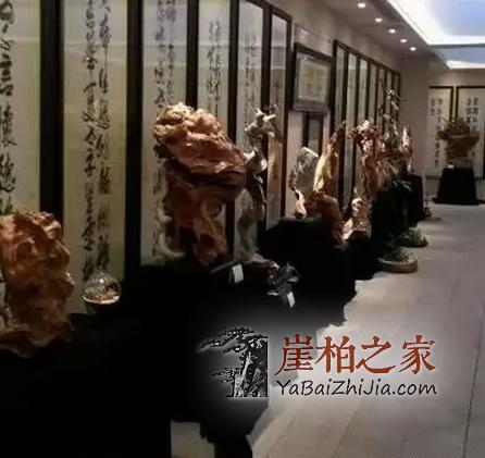 太行陡壁生侧柏,一朝识得痴余生-6