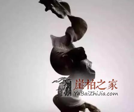 太行陡壁生侧柏,一朝识得痴余生-7