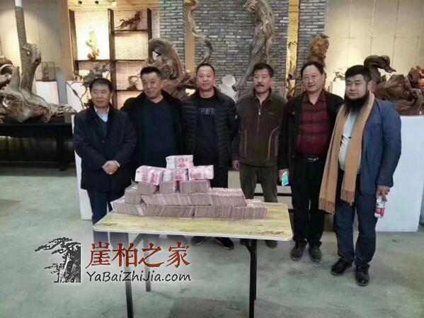 石家庄崖柏展第一天,38万“变异瘤”成交!-4