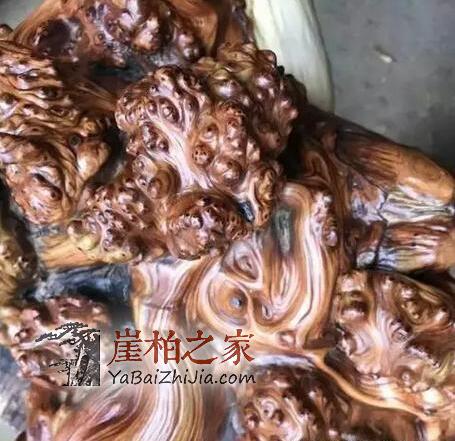 谁说朽木不可雕也,带你走进崖柏陈化瘤打磨全过程-7