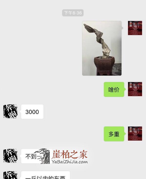 不管崖柏价格怎么样,请柏友先看看这个!-2