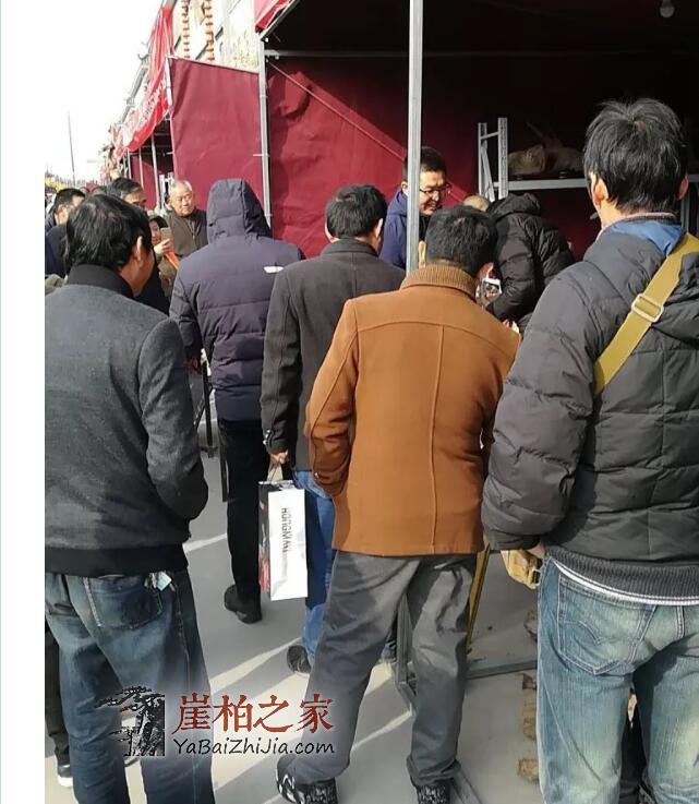 火爆的郑州崖柏展如期举行!-2