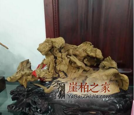 “郑州文博城崖柏展”是崖柏界以及文玩艺术品界的一场饕餮盛宴!-2