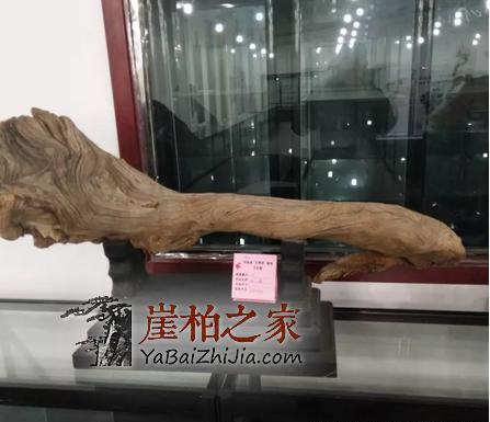 “郑州文博城崖柏展”是崖柏界以及文玩艺术品界的一场饕餮盛宴!-5