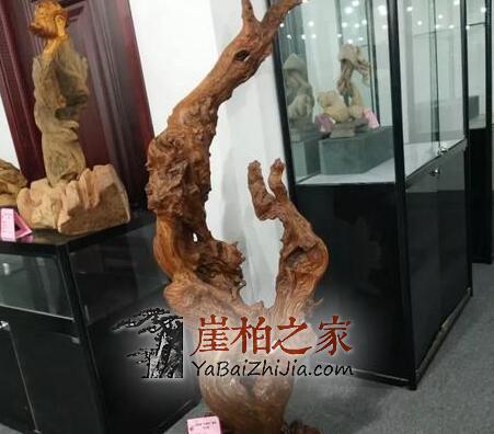“郑州文博城崖柏展”是崖柏界以及文玩艺术品界的一场饕餮盛宴!-6