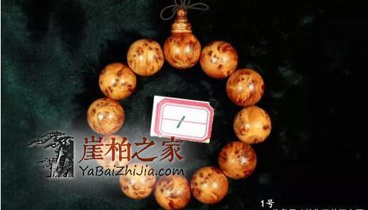 教你“慧眼”识崖柏!-2
