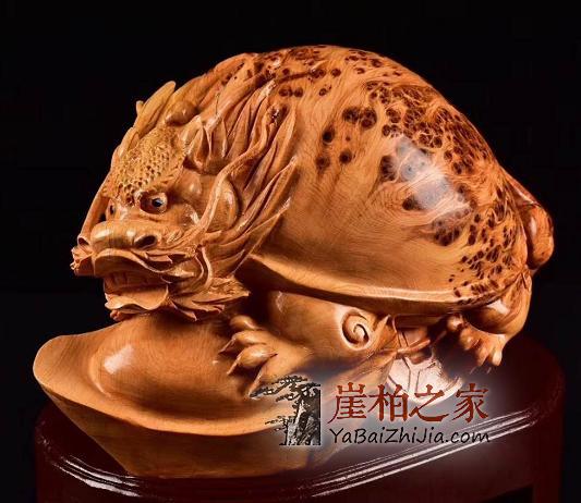 冬季崖柏保养的一些小常识!-3