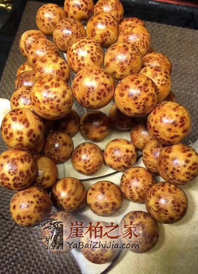 冬季崖柏保养的一些小常识!-1