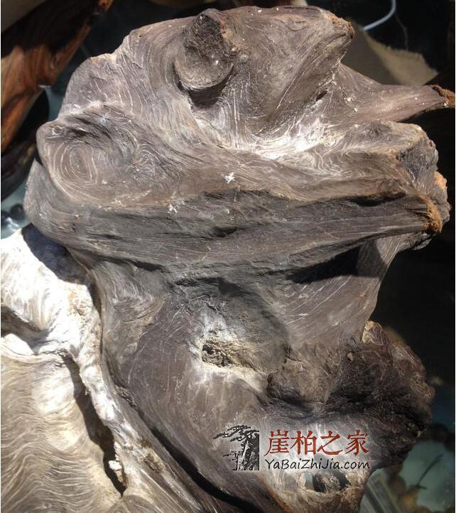 崖柏圈子里那些大腕喜欢收藏什么样的崖柏呢?-1