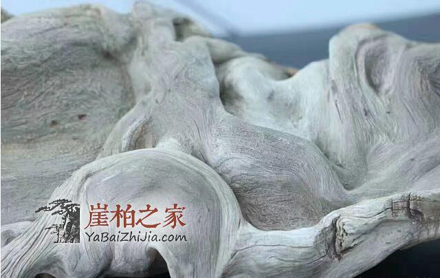 崖柏圈子里那些大腕喜欢收藏什么样的崖柏呢？-4