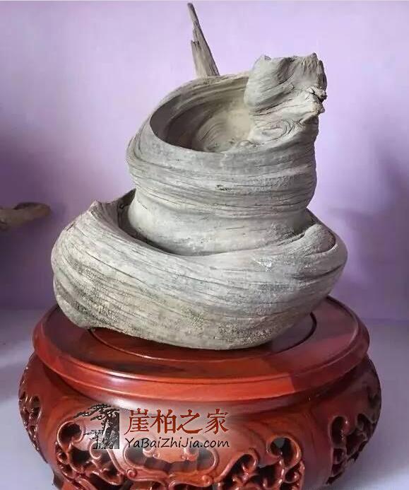 崖柏圈子里那些大腕喜欢收藏什么样的崖柏呢?-5