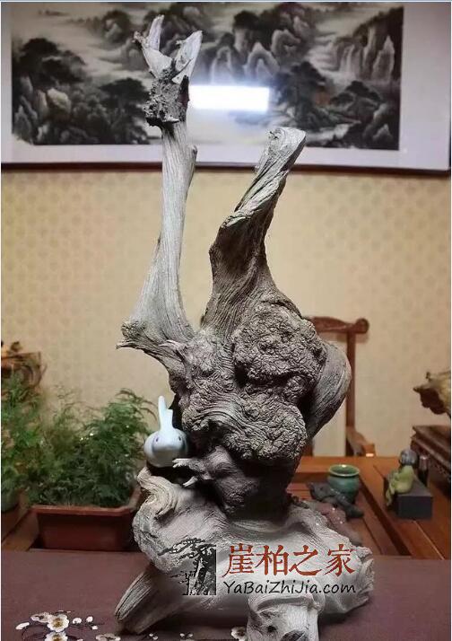 崖柏圈子里那些大腕喜欢收藏什么样的崖柏呢?-8