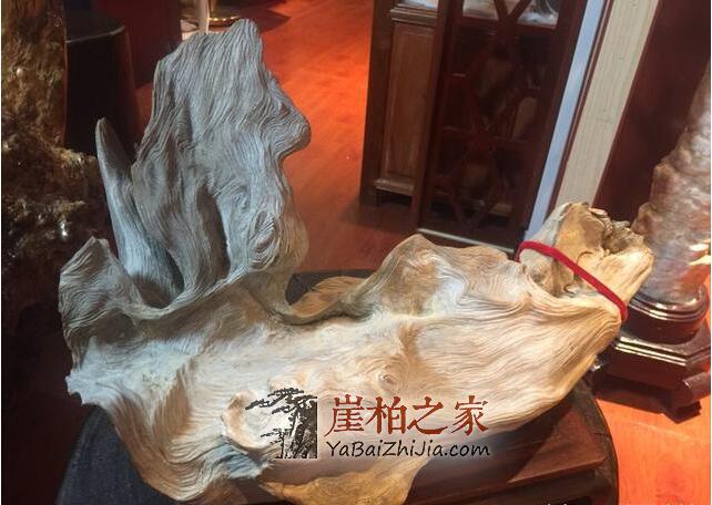 崖柏圈子里那些大腕喜欢收藏什么样的崖柏呢?-14