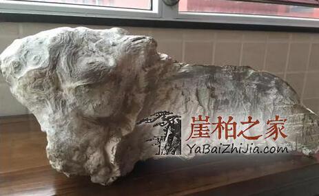 都说太行小而精,小而美,那太行山产出的料子就没有大料吗?-1