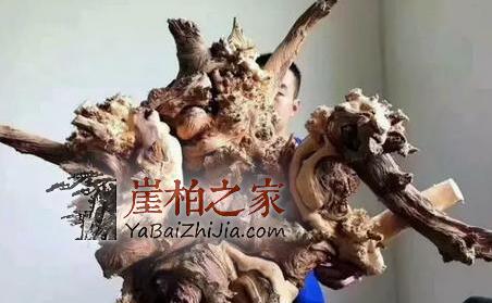 都说太行小而精,小而美,那太行山产出的料子就没有大料吗?-3