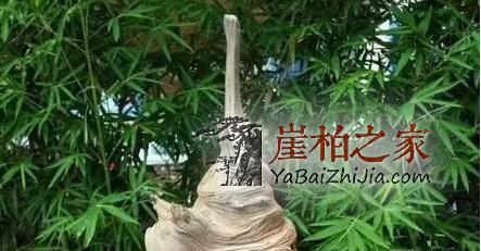 都说太行小而精，小而美，那太行山产出的料子就没有大料吗？-5