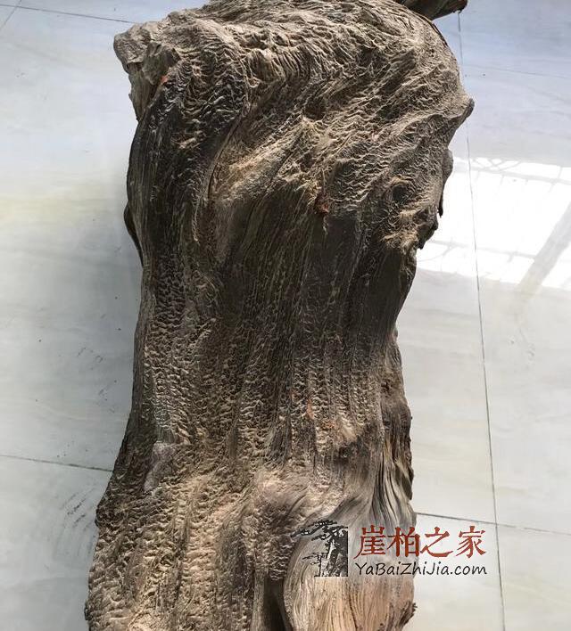 巫溪崖柏黑油料到底有多黑?-2