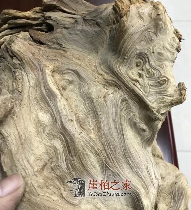 巫溪崖柏黑油料到底有多黑?-4
