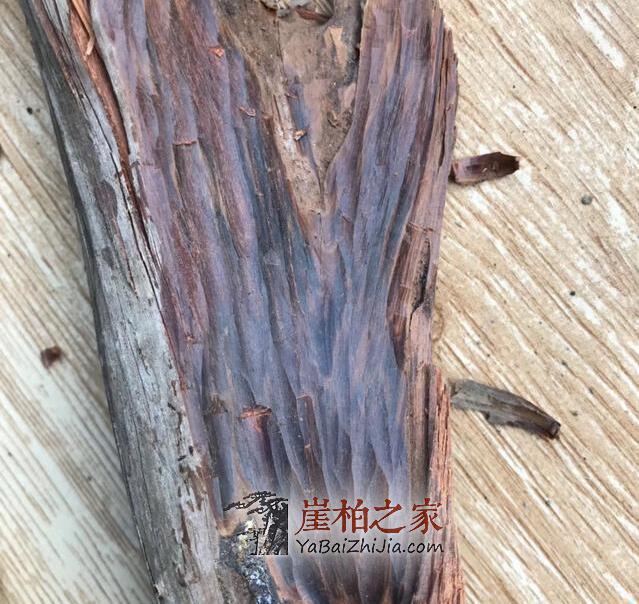 巫溪崖柏黑油料到底有多黑?-8