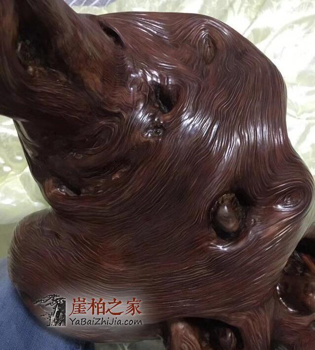 巫溪崖柏黑油料到底有多黑?-10