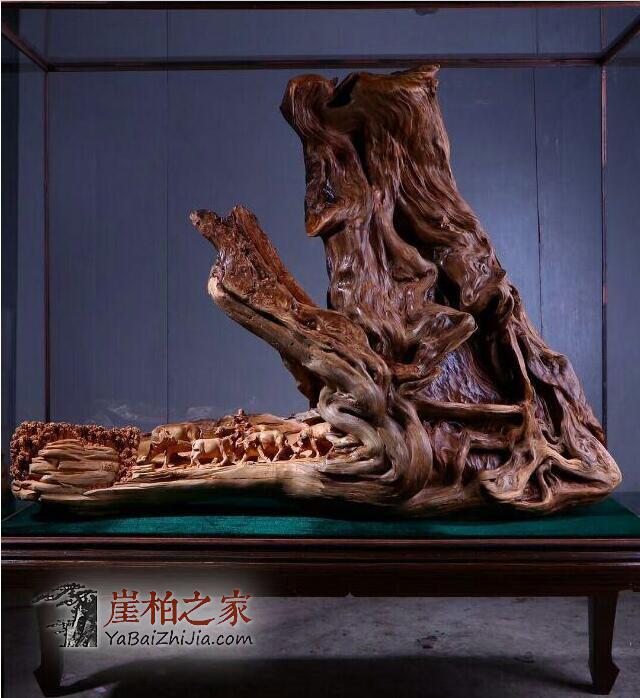 所谓买有买道,买崖柏也是一门艺术活-4
