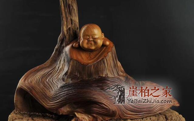 千万不要玩崖柏 专家说崖柏毒性太大 而你回头太难-4
