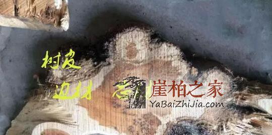 为何崖柏生料、老料、陈化料价格差距如此之大,三者本身到底有什么不同?-2