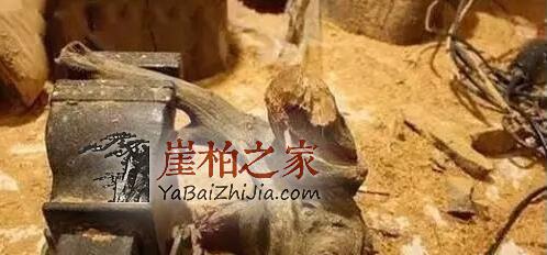 崖柏弥勒:大肚能容,开口便笑!-3