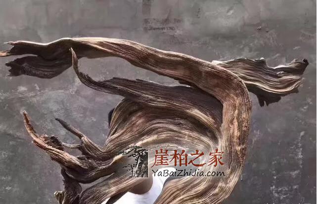 “崖柏万千,型料为王”,崖柏象形料极具收藏价值!-2