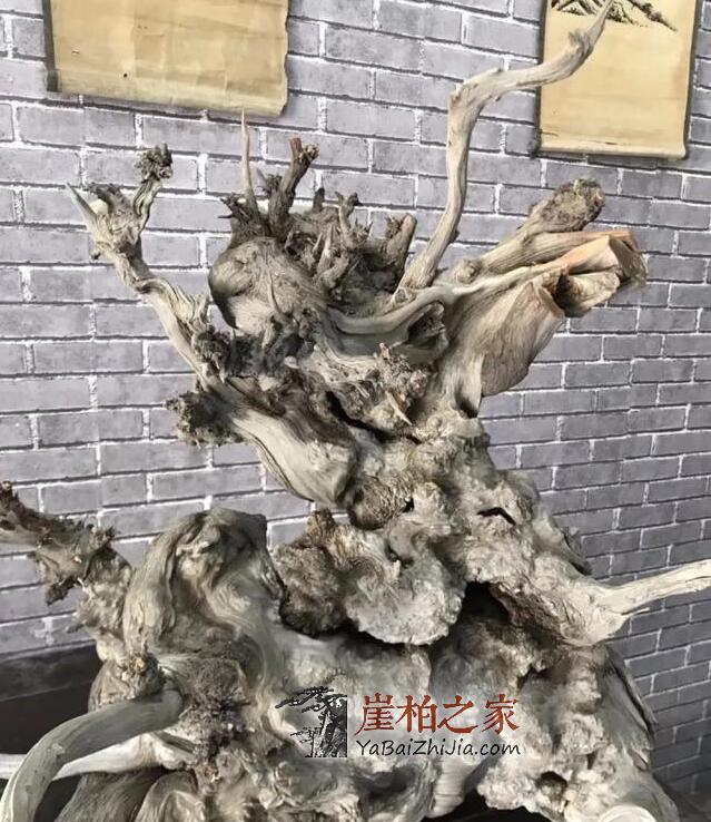 “崖柏万千,型料为王”,崖柏象形料极具收藏价值!-3