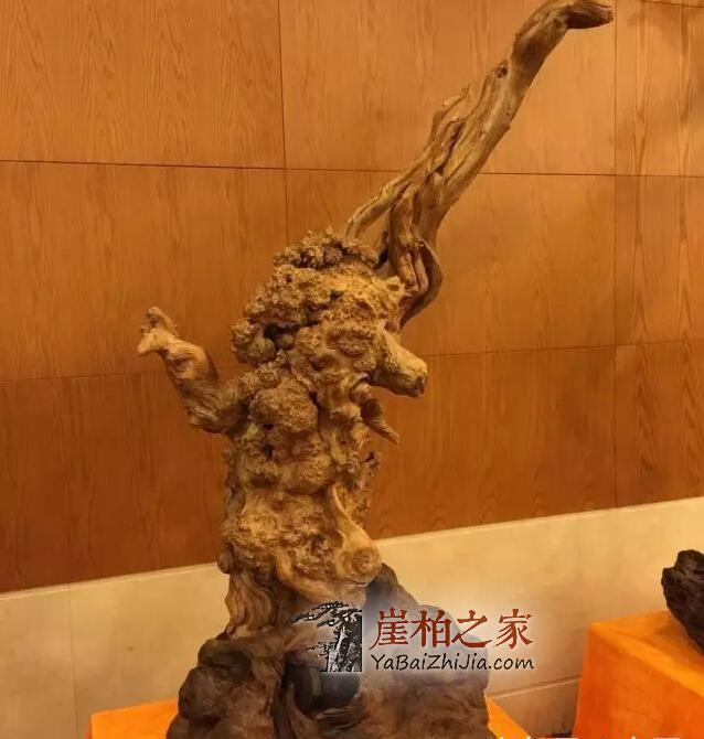 “崖柏万千,型料为王”,崖柏象形料极具收藏价值!-4